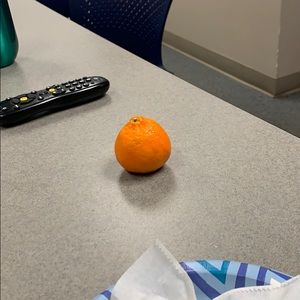 Meet your Posher, Leslie